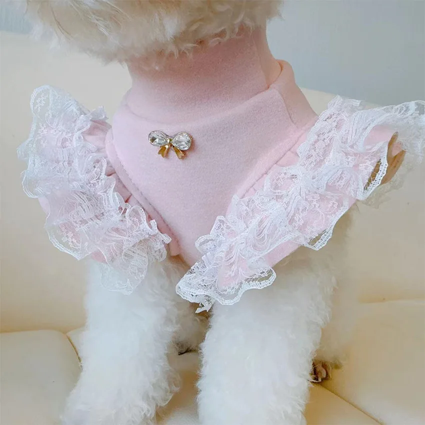 Pakaian hewan peliharaan musim - Lace Teddy Lingerie ulasan dan harga