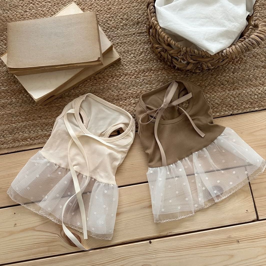 Gaun Vest Camisole Renda Musim - Lace Teddy Lingerie ulasan dan harga