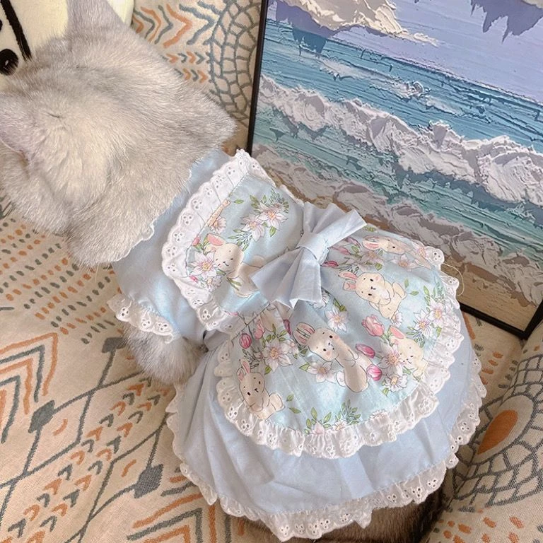 Gaun celemek lucu hewan peliha - Lace Teddy Lingerie ulasan dan harga
