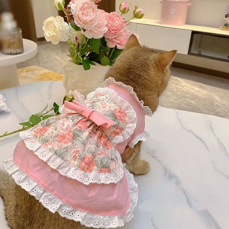 Gaun celemek lucu hewan peliha - Lace Teddy Lingerie ulasan dan harga